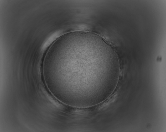 X0000093590341200710221527