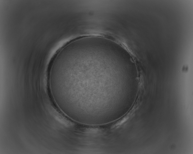 X0000093590342200710221527