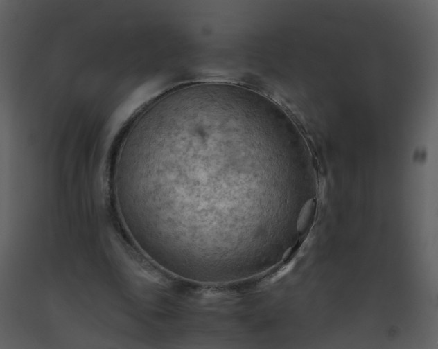 X0000093590343200710221527