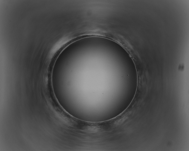 X0000093590344200710221527