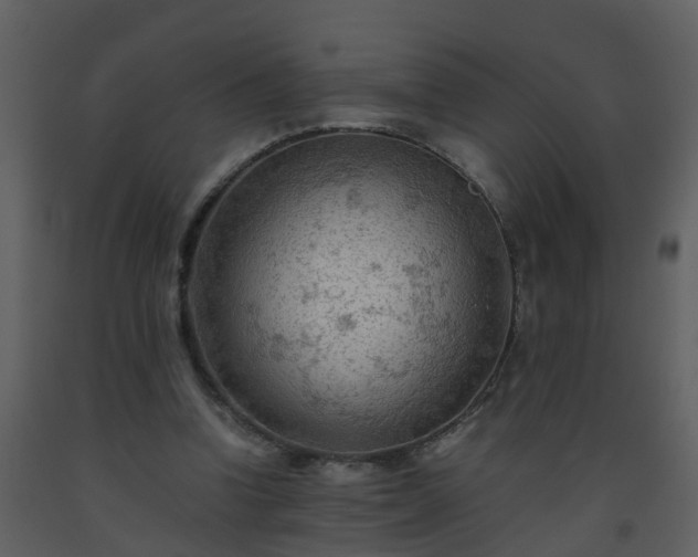 X0000093590346200710221527