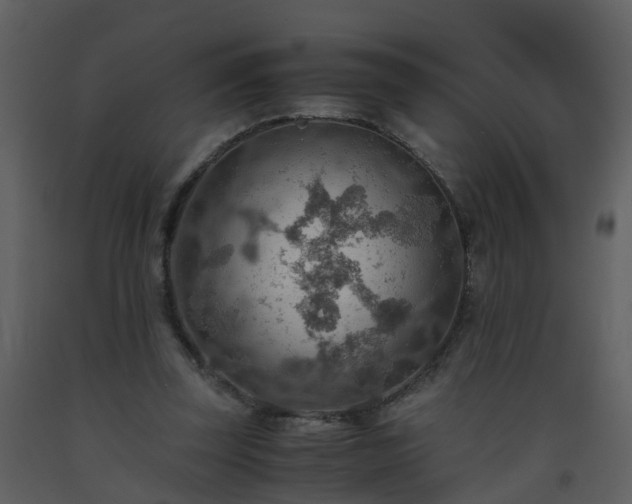 X0000093590347200710221527