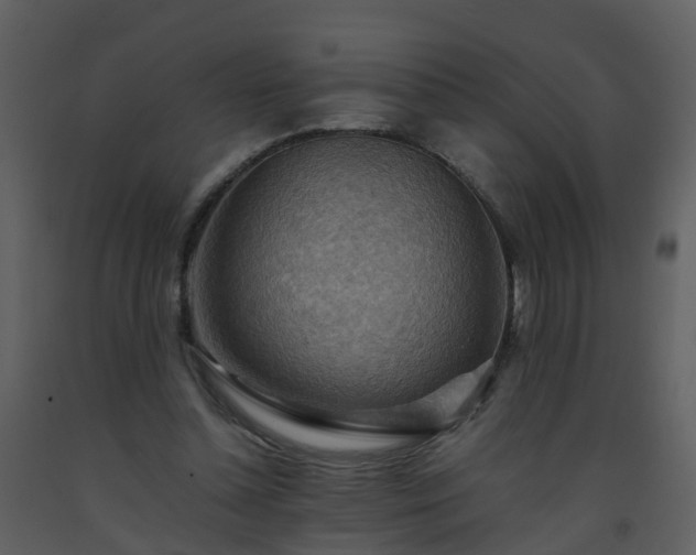 X0000093590348200710221527