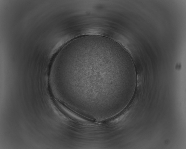X0000093590349200710221528