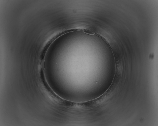 X0000093590350200710221528
