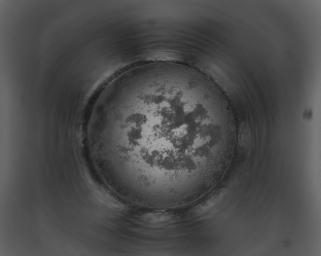 X0000093590351200710221528