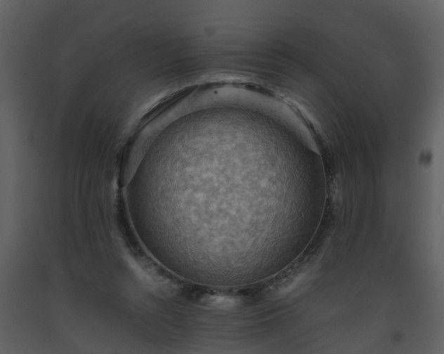X0000093590352200710221528
