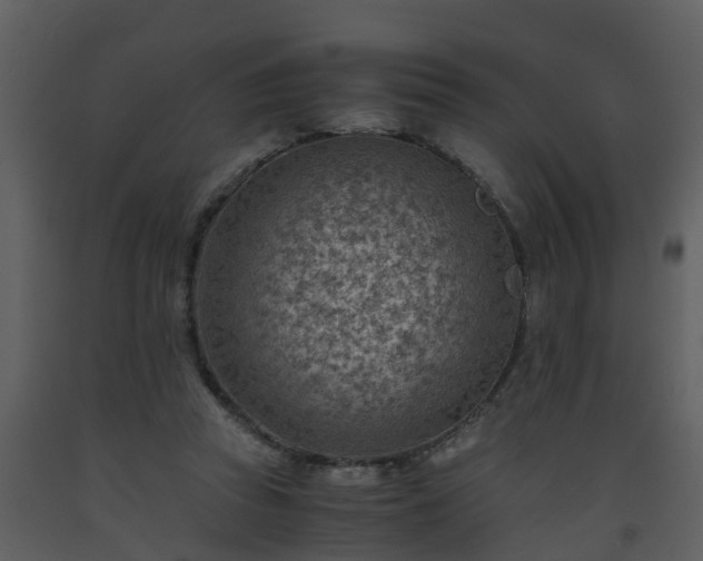 X0000093590353200710221528