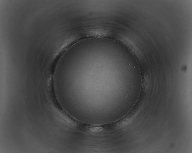 X0000093590355200710221528