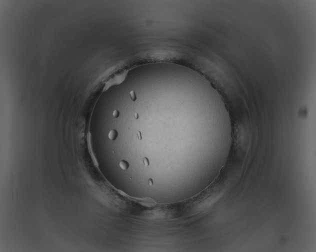 X0000093590356200710221528