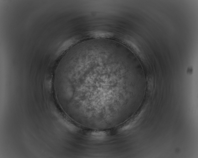 X0000093590357200710221528