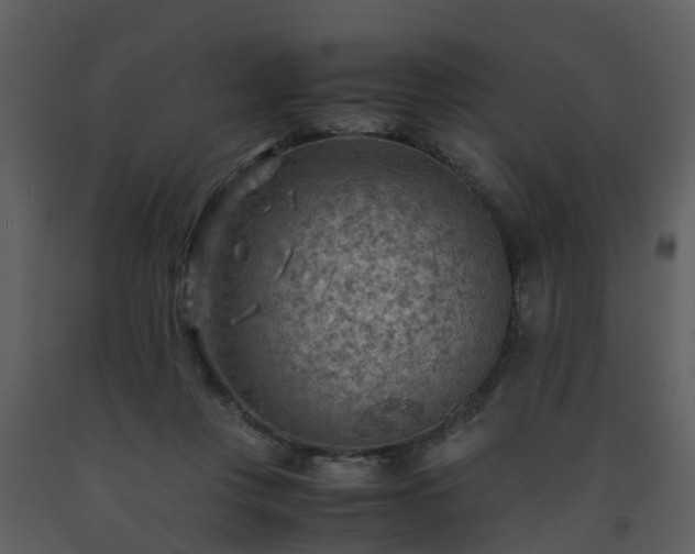 X0000093590359200710221528