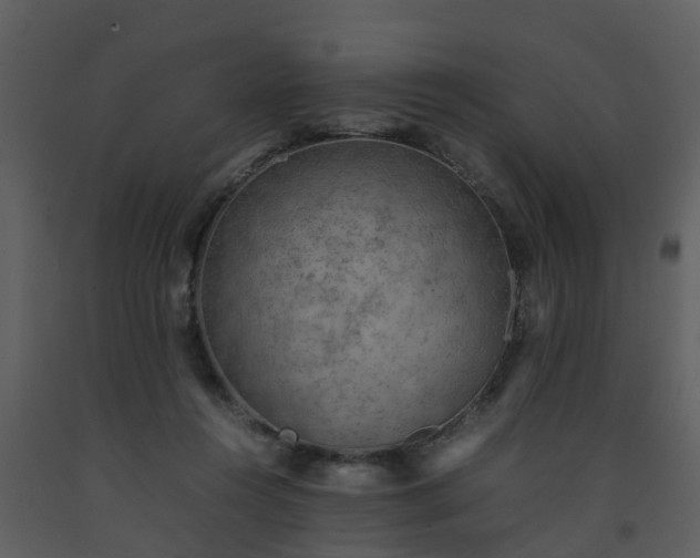 X0000093590360200710221528