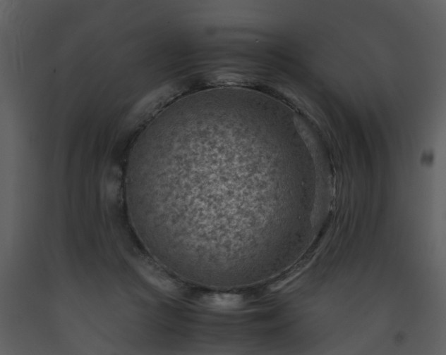 X0000093590361200710221528