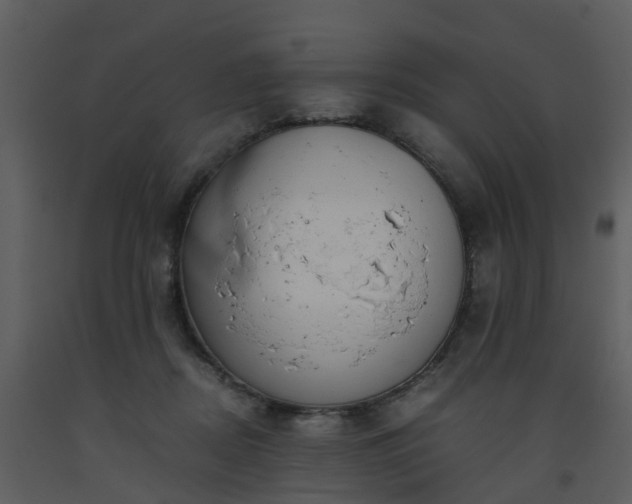 X0000093590362200710221528