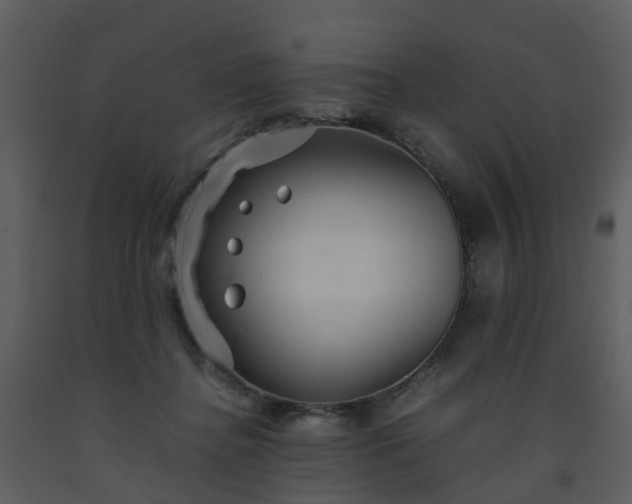 X0000093590364200710221528