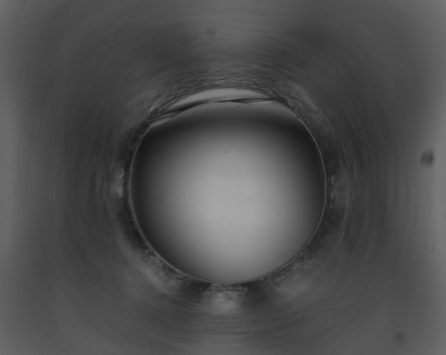 X0000093590368200710221528