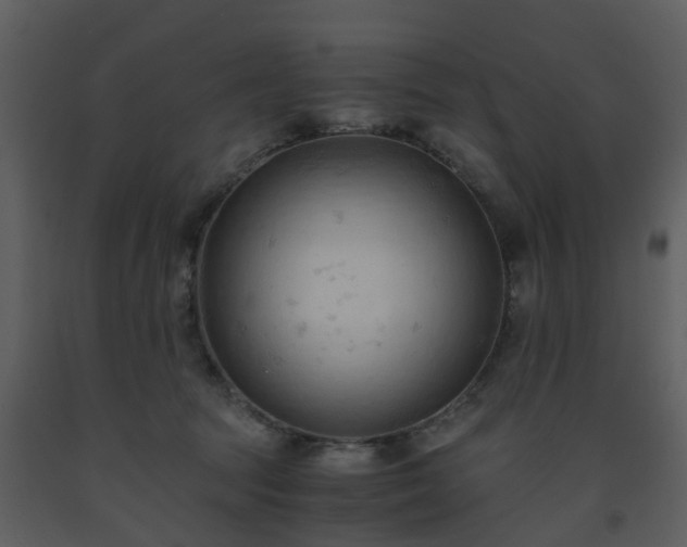X0000093590369200710221528