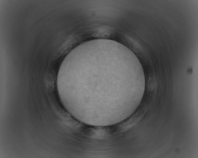 X0000093590370200710221528