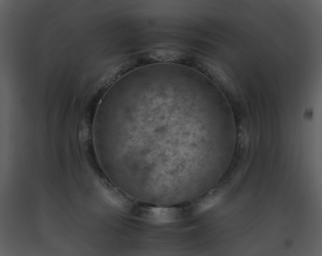 X0000093590371200710221528