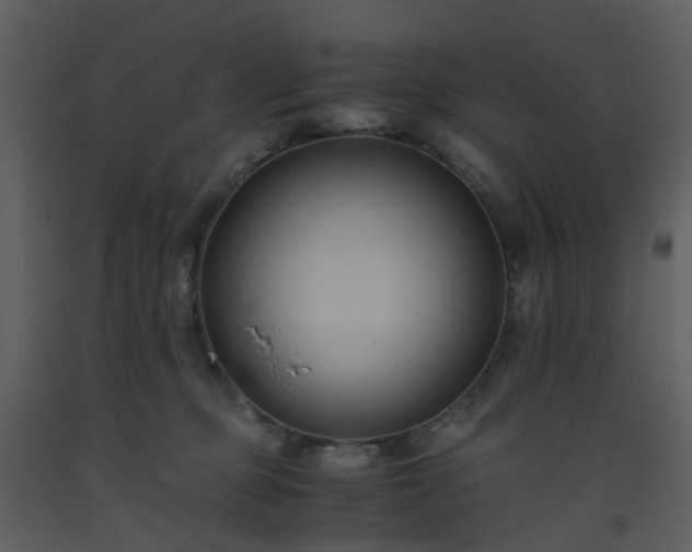 X0000093590373200710221528