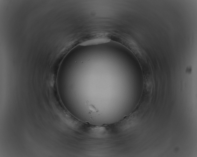 X0000093590374200710221528