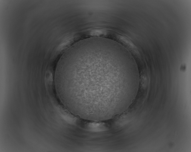 X0000093590375200710221528