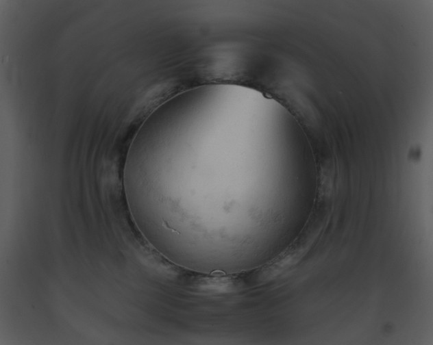 X0000093590377200710221528