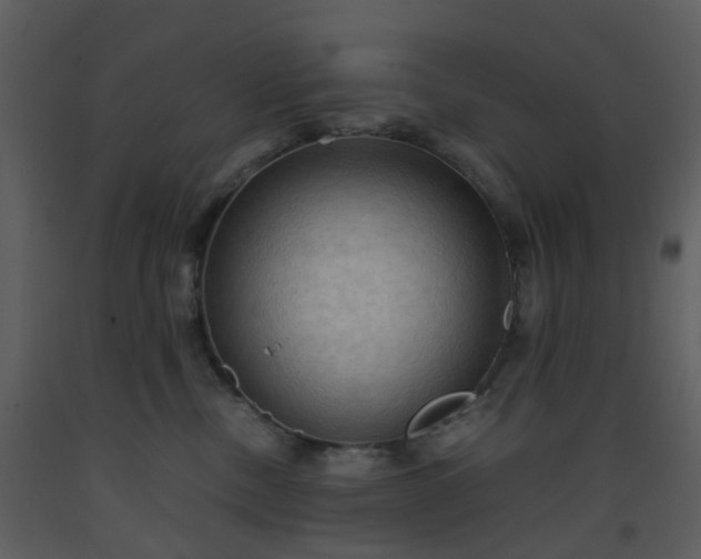 X0000093590378200710221528