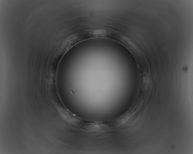 X0000093590379200710221528