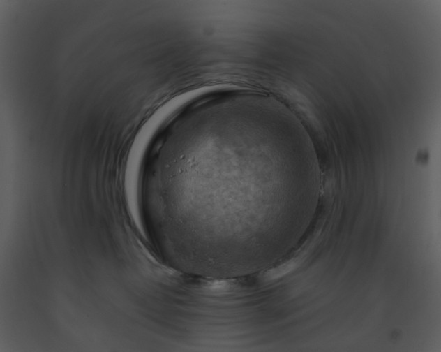 X0000093590382200710221528
