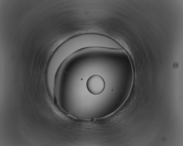 X0000093590389200710221527