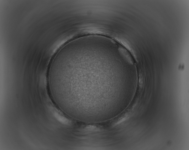 X0000093590390200710221527