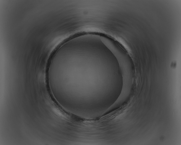 X0000093590391200710221527