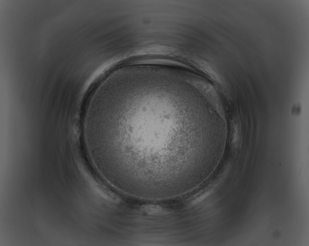 X0000093590392200710221527