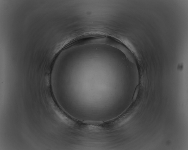 X0000093590393200710221527