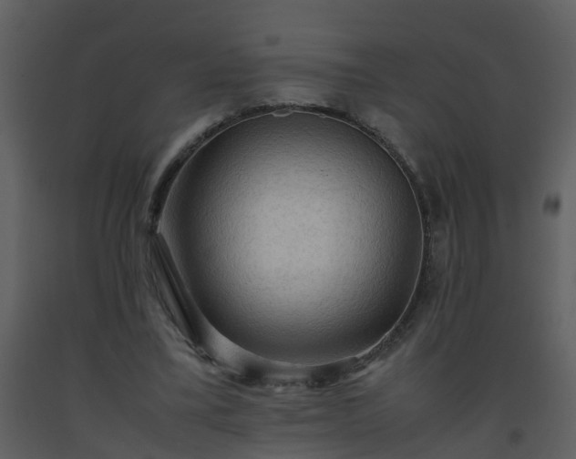 X0000093590395200710221527