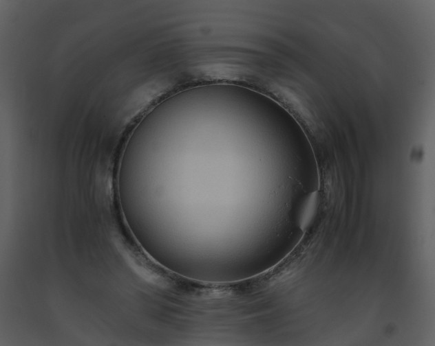 X0000093590398200710221527
