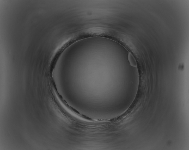 X0000093590399200710221527