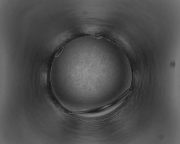 X0000093590404200710221527