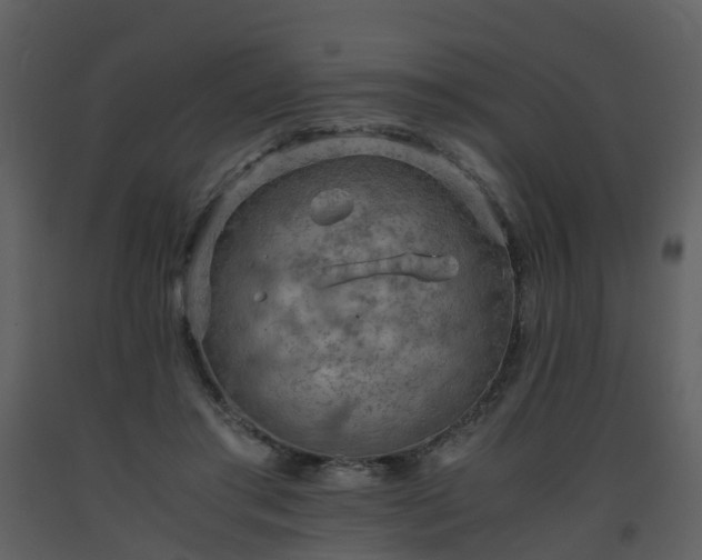 X0000093590405200710221527
