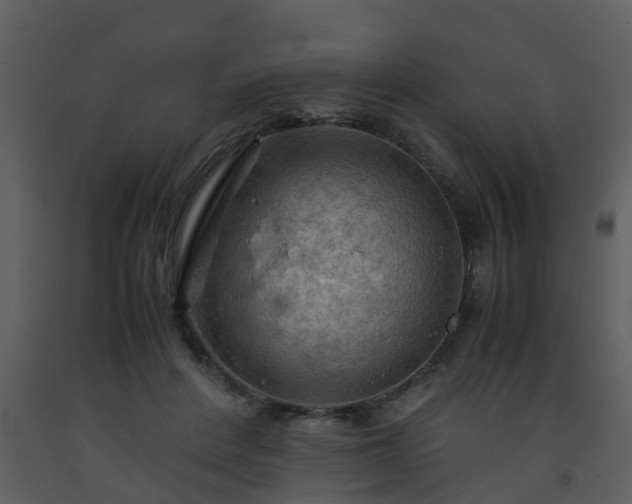 X0000093590408200710221527