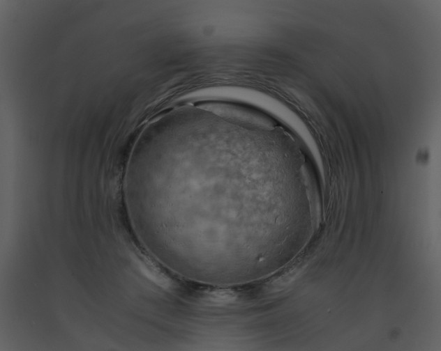 X0000093590409200710221527