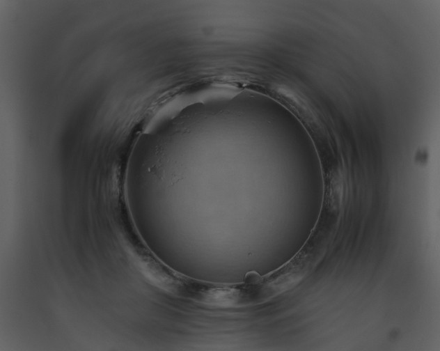 X0000093590410200710221527