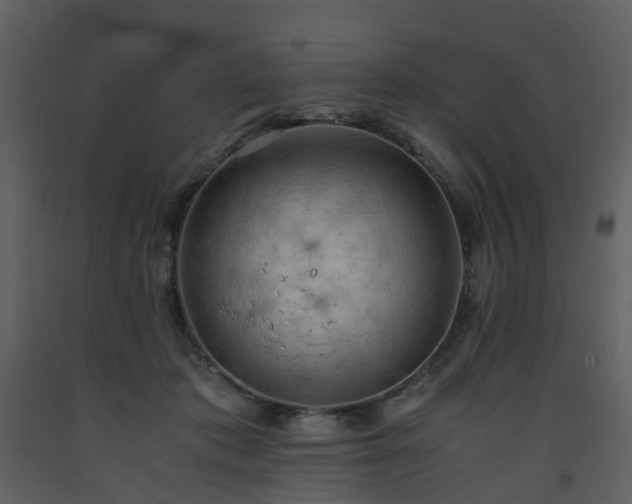 X0000093590413200710221527