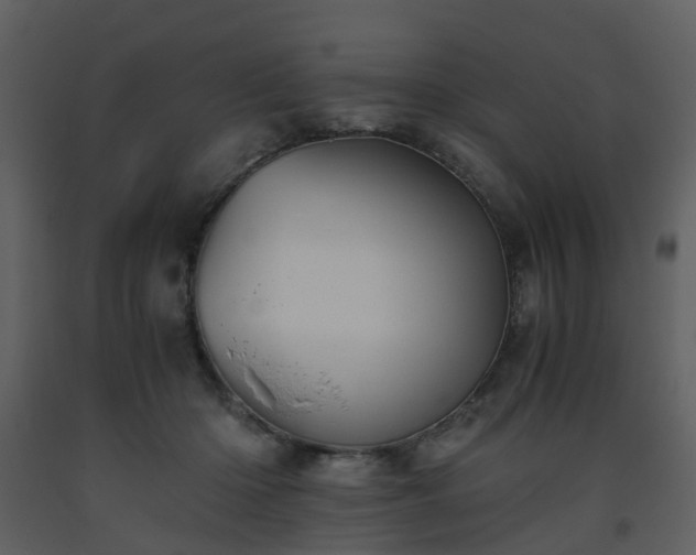 X0000093590414200710221527