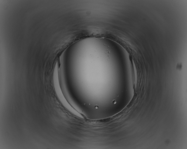 X0000093590417200710221527