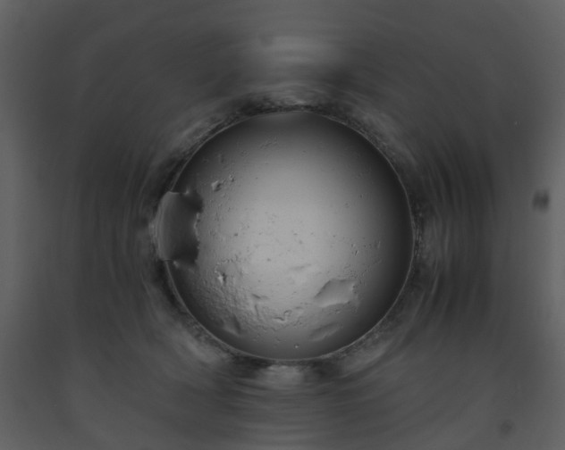 X0000093590418200710221527