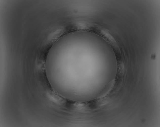 X0000093590419200710221527