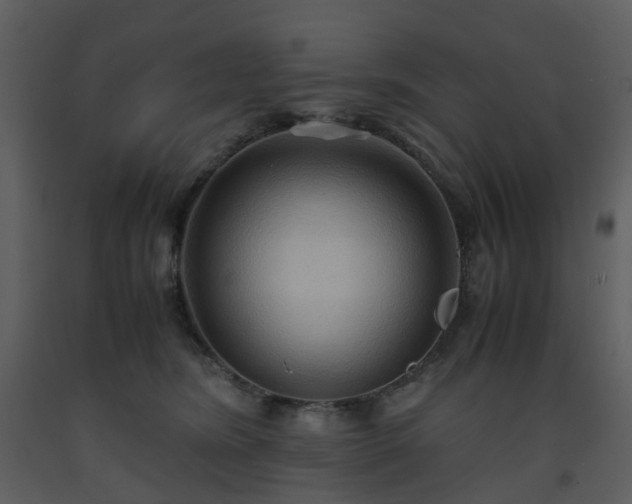 X0000093590420200710221527